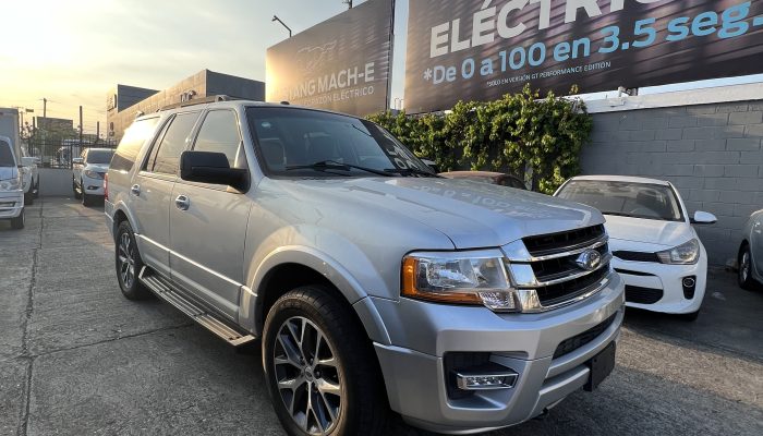 Ford Expedition XLT 2016 – Gris
